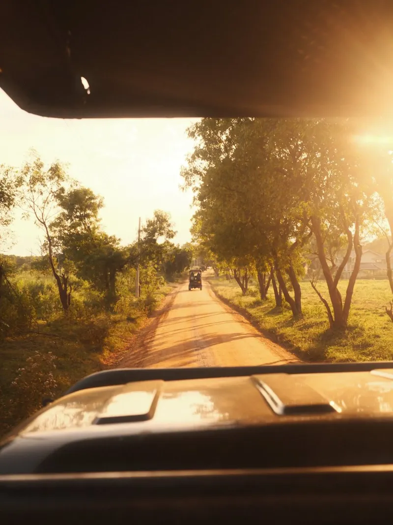 Golden Safari Trails pellicola backlit da FujiPrints