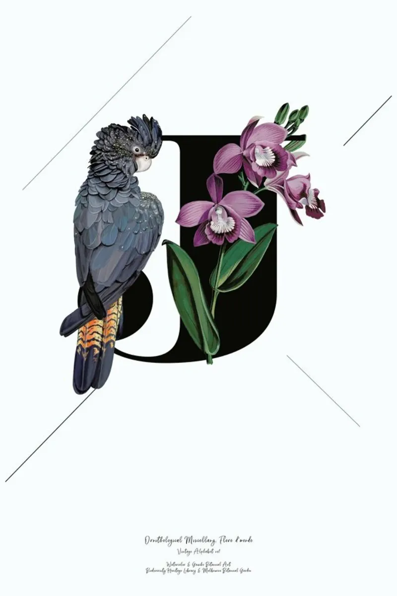 Botanical Alphabet - J pellicola backlit da Froilein Juno