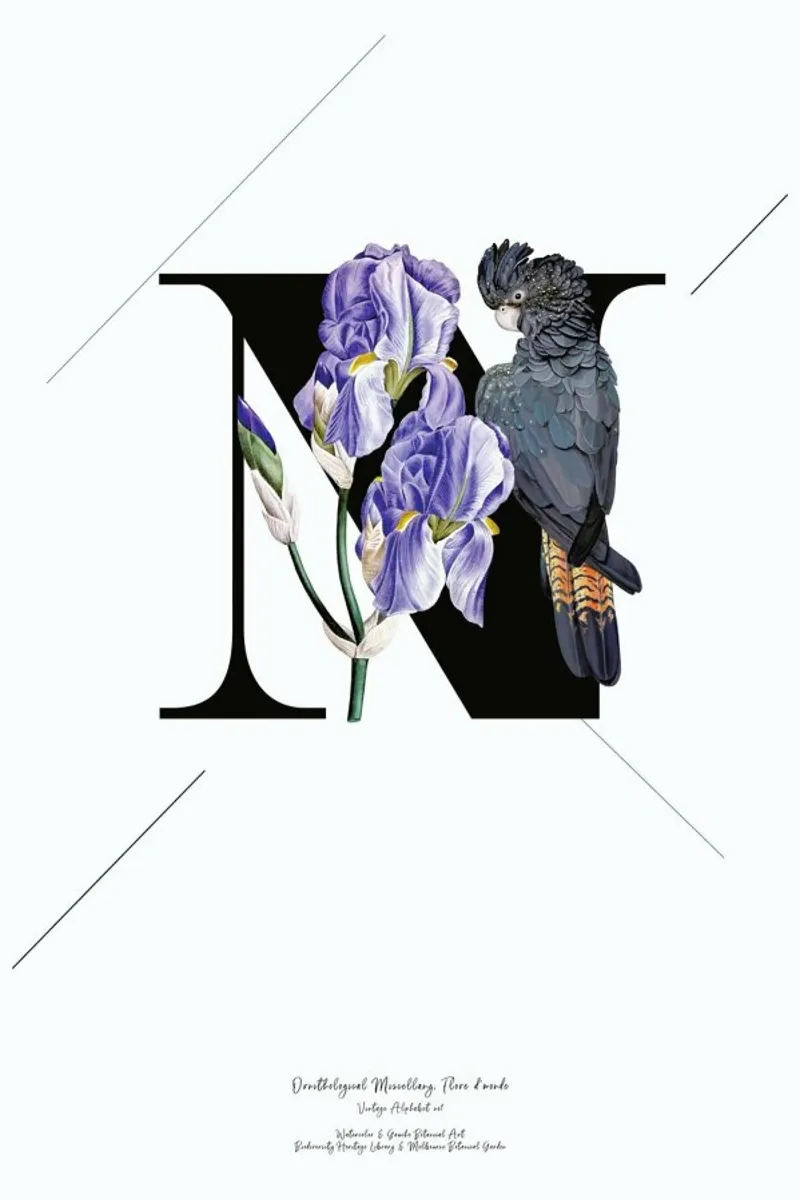 Botanical Alphabet - N pellicola backlit da Froilein Juno