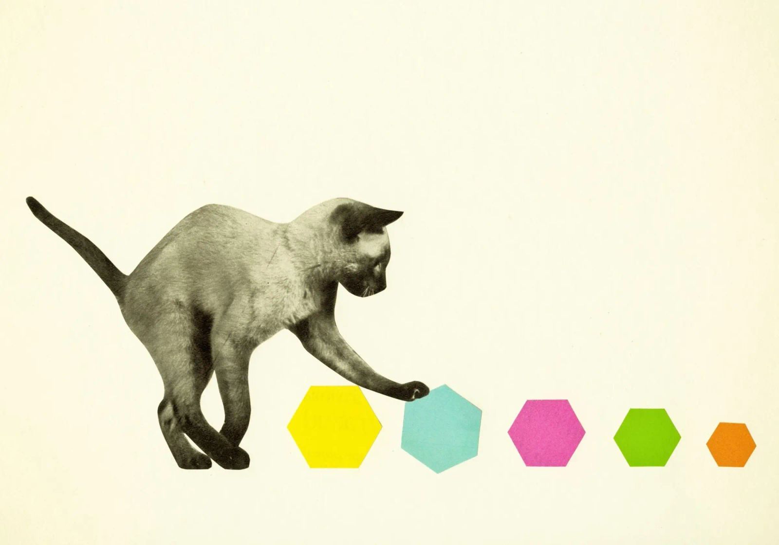 Kitty Cat poster by Cassia Beck Collage