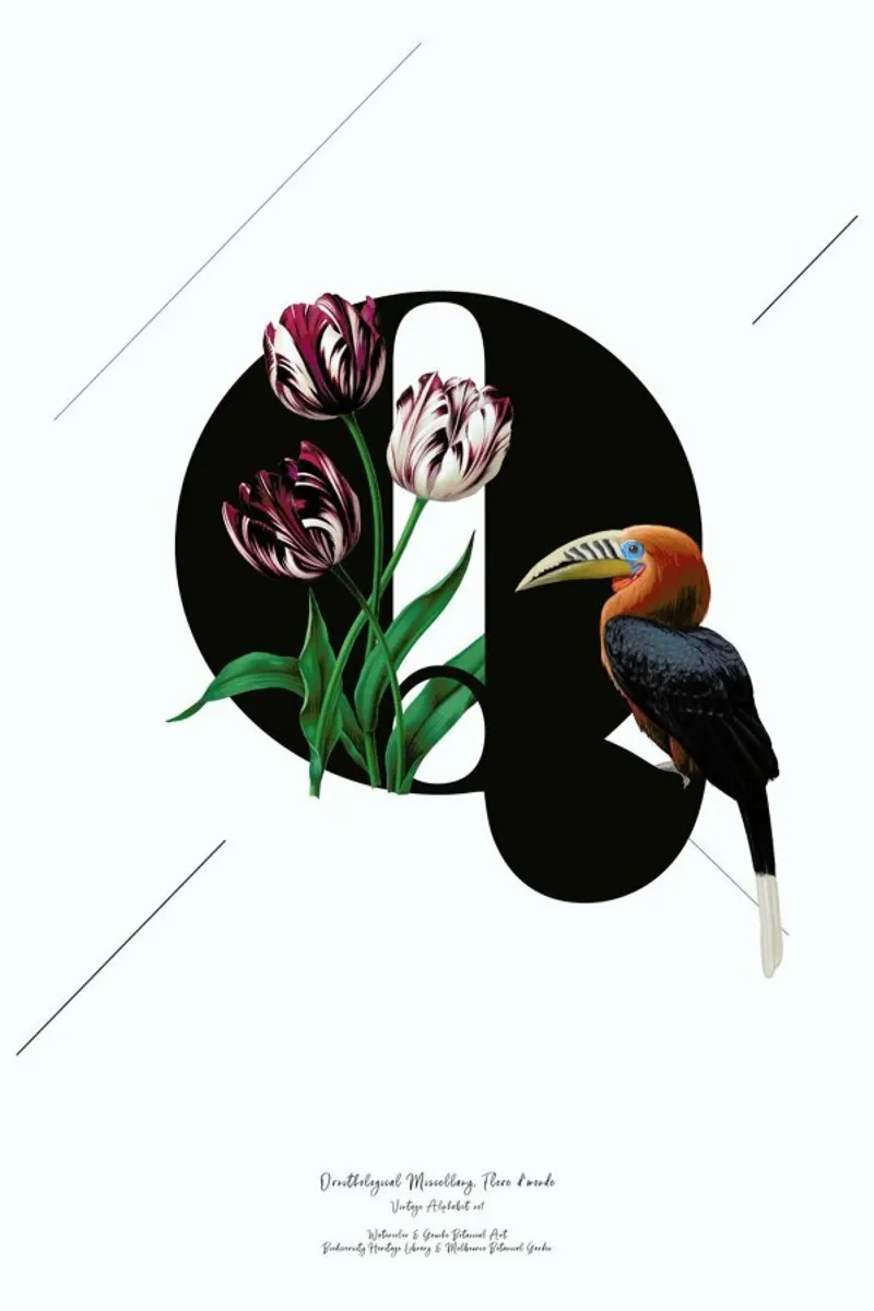 Botanical Alphabet - Q pellicola backlit da Froilein Juno