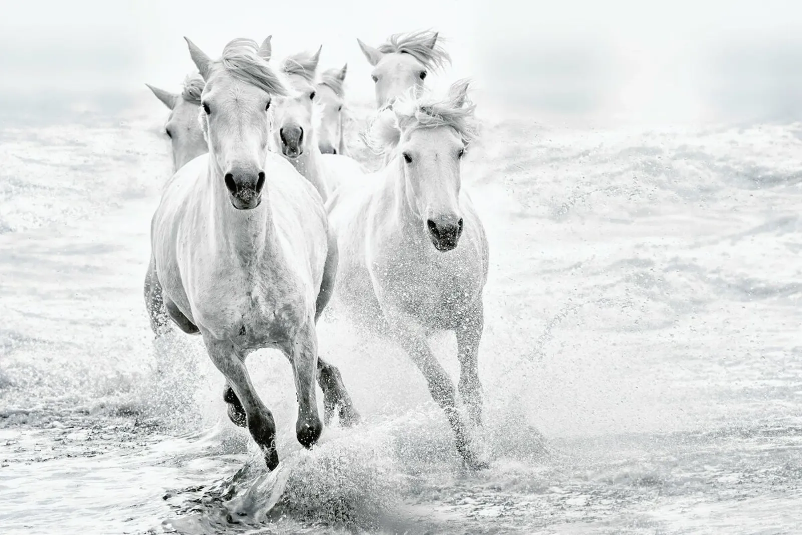 Running In The Sea - Lucie Bressy poster da Pictufy