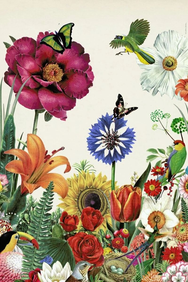 Garden Spring Flowers Poster von Kolorama