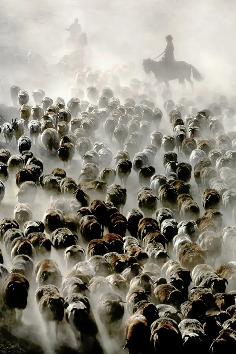 The Great Migration Of China - Adam Wong carta hahnemühle da Pictufy