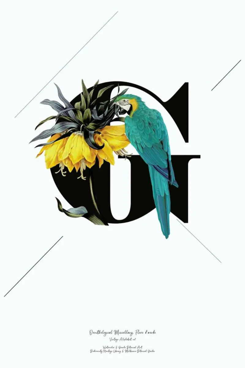 Botanical Alphabet - G pellicola backlit da Froilein Juno