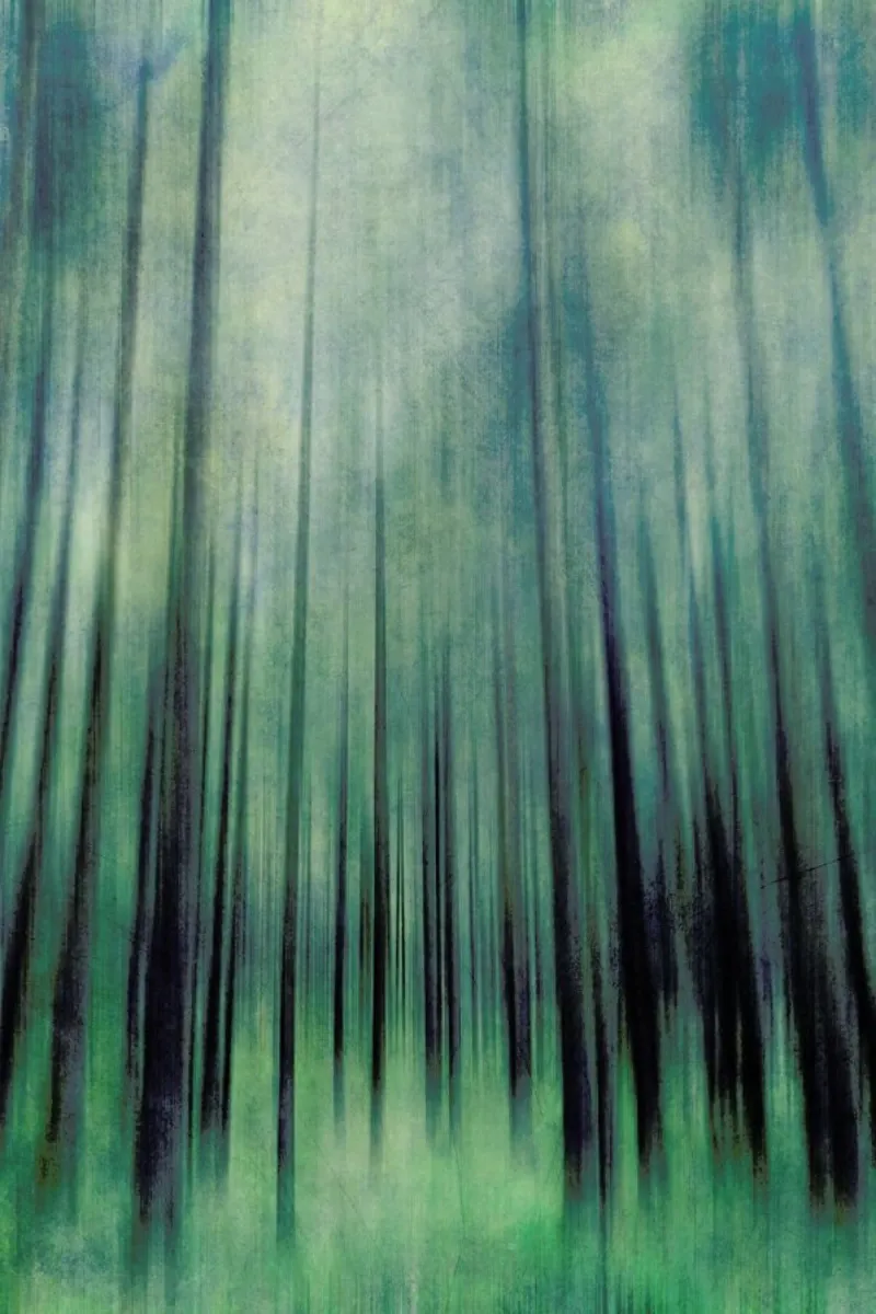 Green Woods Ascent pellicola backlit da Angelo Cerantola