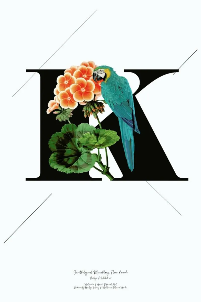 Botanical Alphabet - K pellicola backlit da Froilein Juno