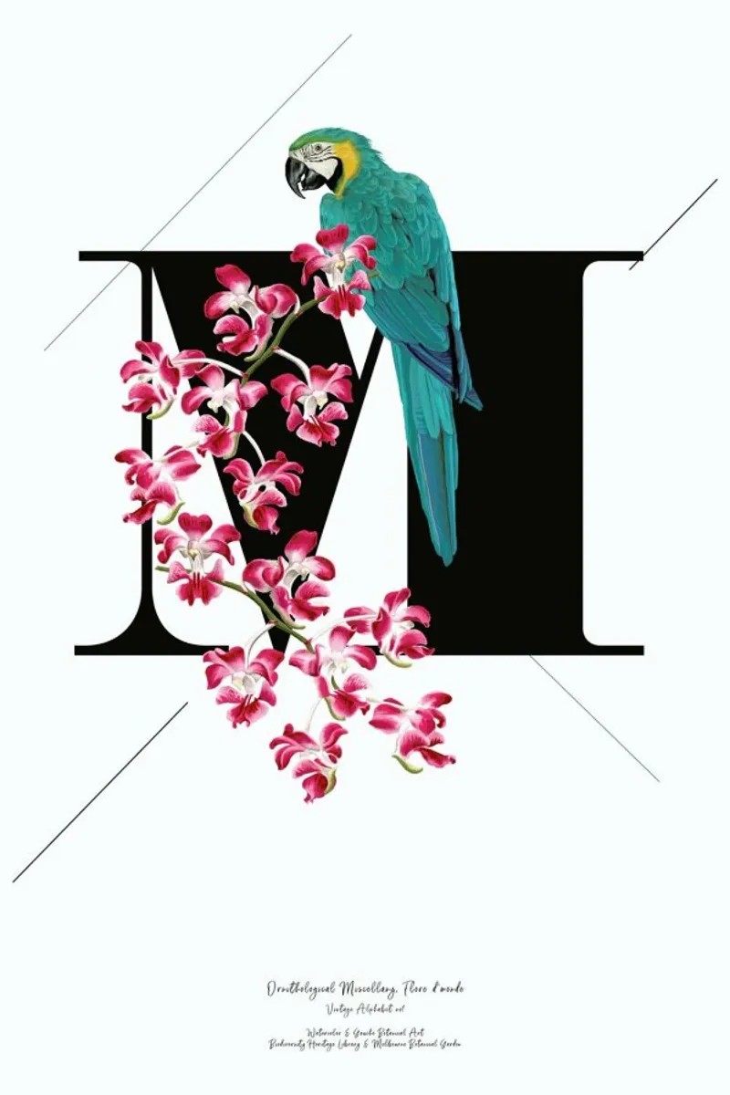 Botanical Alphabet - M pellicola backlit da Froilein Juno