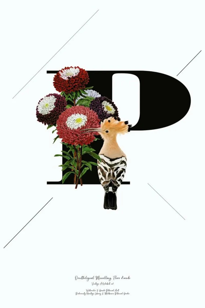 Botanical Alphabet - P pellicola backlit da Froilein Juno