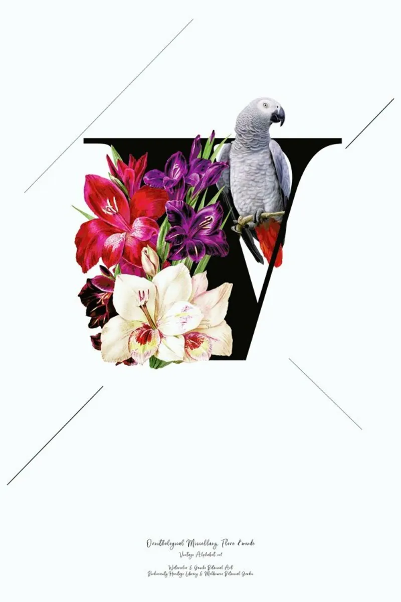 Botanical Alphabet - V pellicola backlit da Froilein Juno
