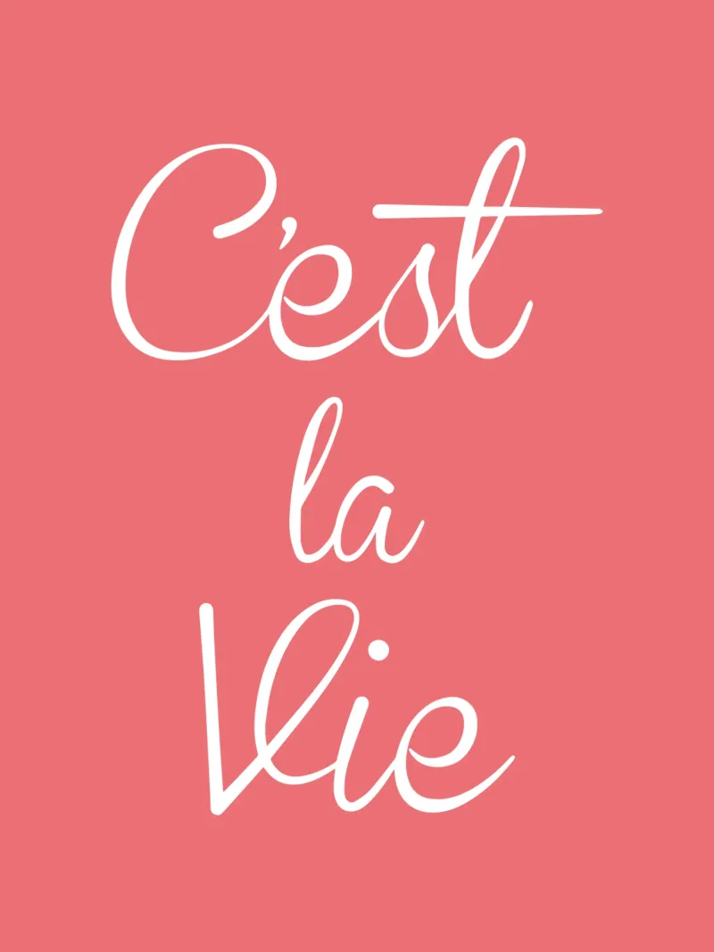 C'est La Vie in Pink pellicola backlit da THE MOTIVATED TYPE