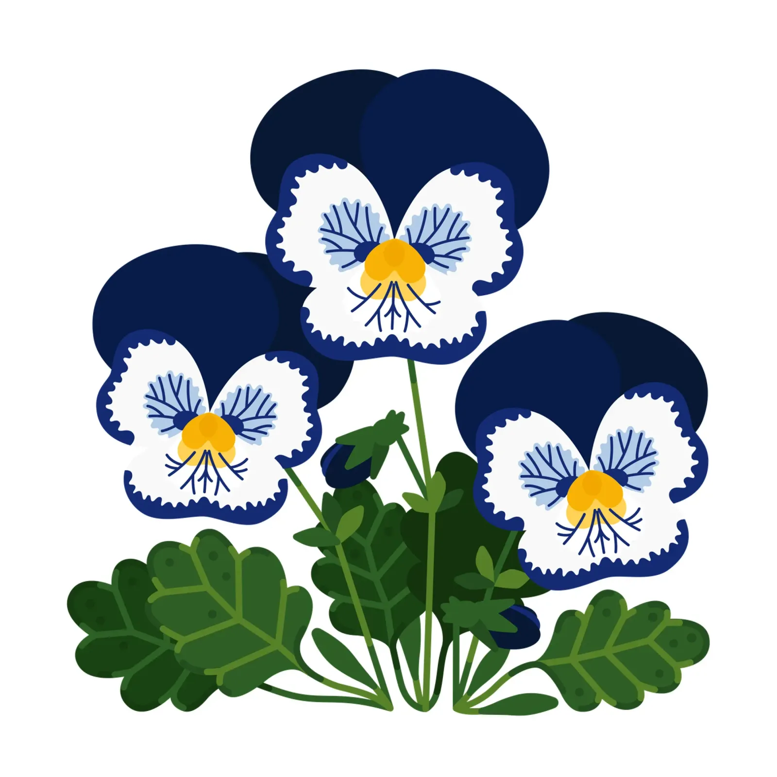 Pansy poster con telaio in legno da Lidia Blomgren