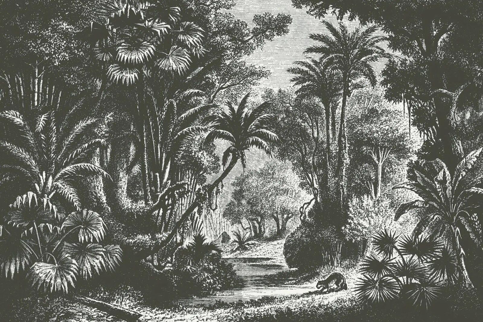 Indian Jungle poster van Astër