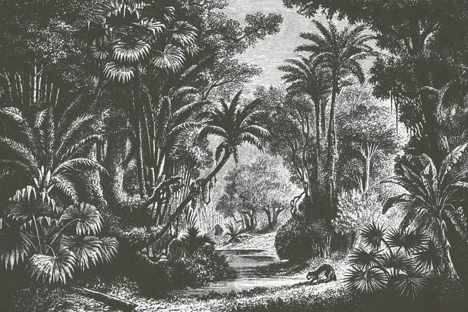 Indian Jungle poster con telaio in alluminio da Astër