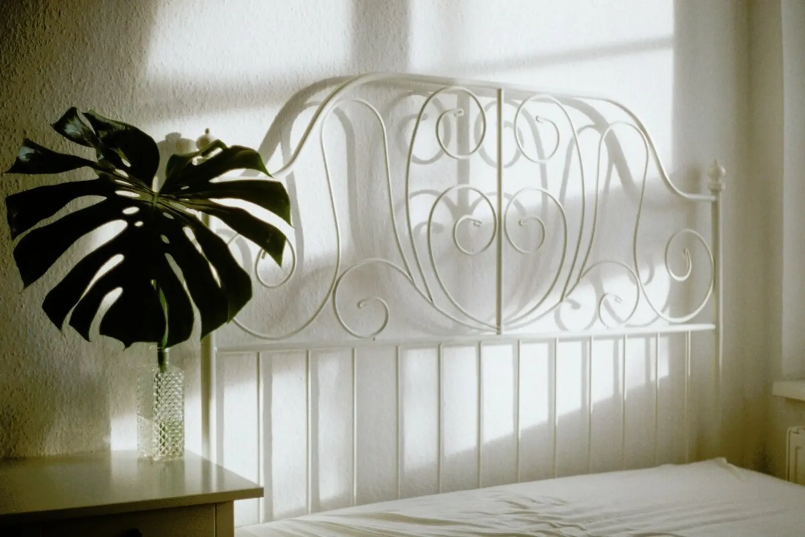 Still pellicola backlit da Alexandra Hellweg