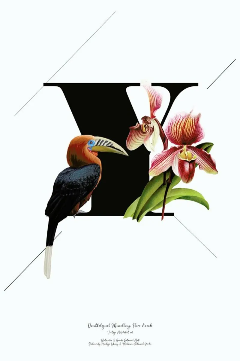 Botanical Alphabet - Y pellicola backlit da Froilein Juno