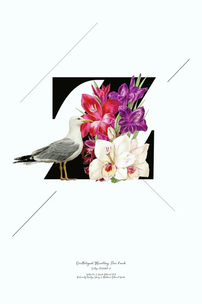 Botanical Alphabet - Z pellicola backlit da Froilein Juno