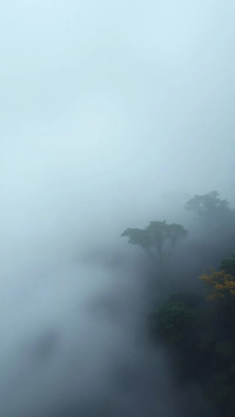 Misty forest landscape with trees emerging through fog canvas by DesignDoodle
