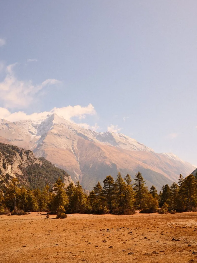 Golden Annapurna Highlights pellicola backlit da FujiPrints