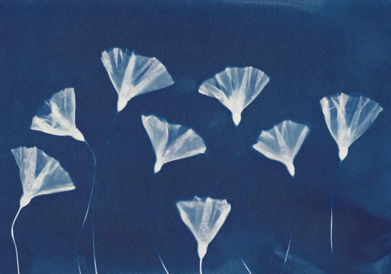 Magic in the Ordinary #9 canvas by Alisa Galitsyna