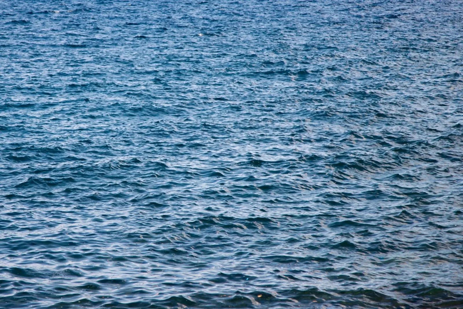 waves pellicola backlit da lookingforstardust