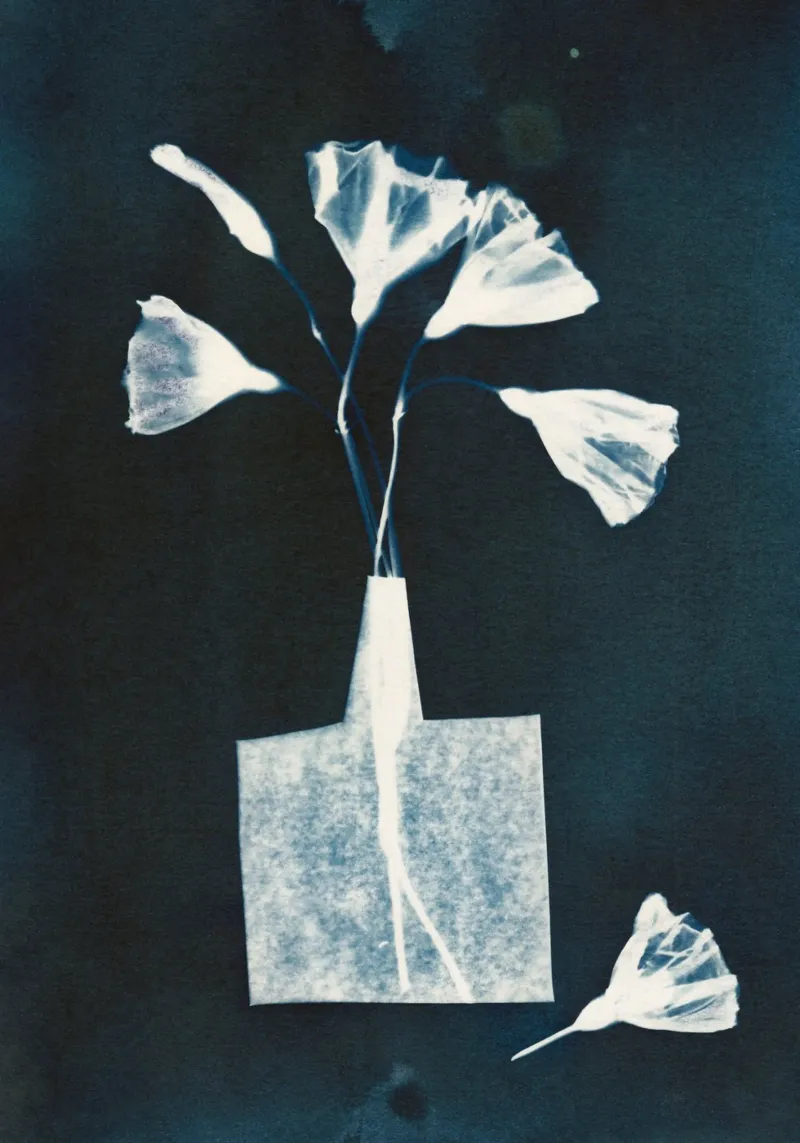 Magic in the Ordinary #8 / Dark canvas with Floater frame by Alisa Galitsyna