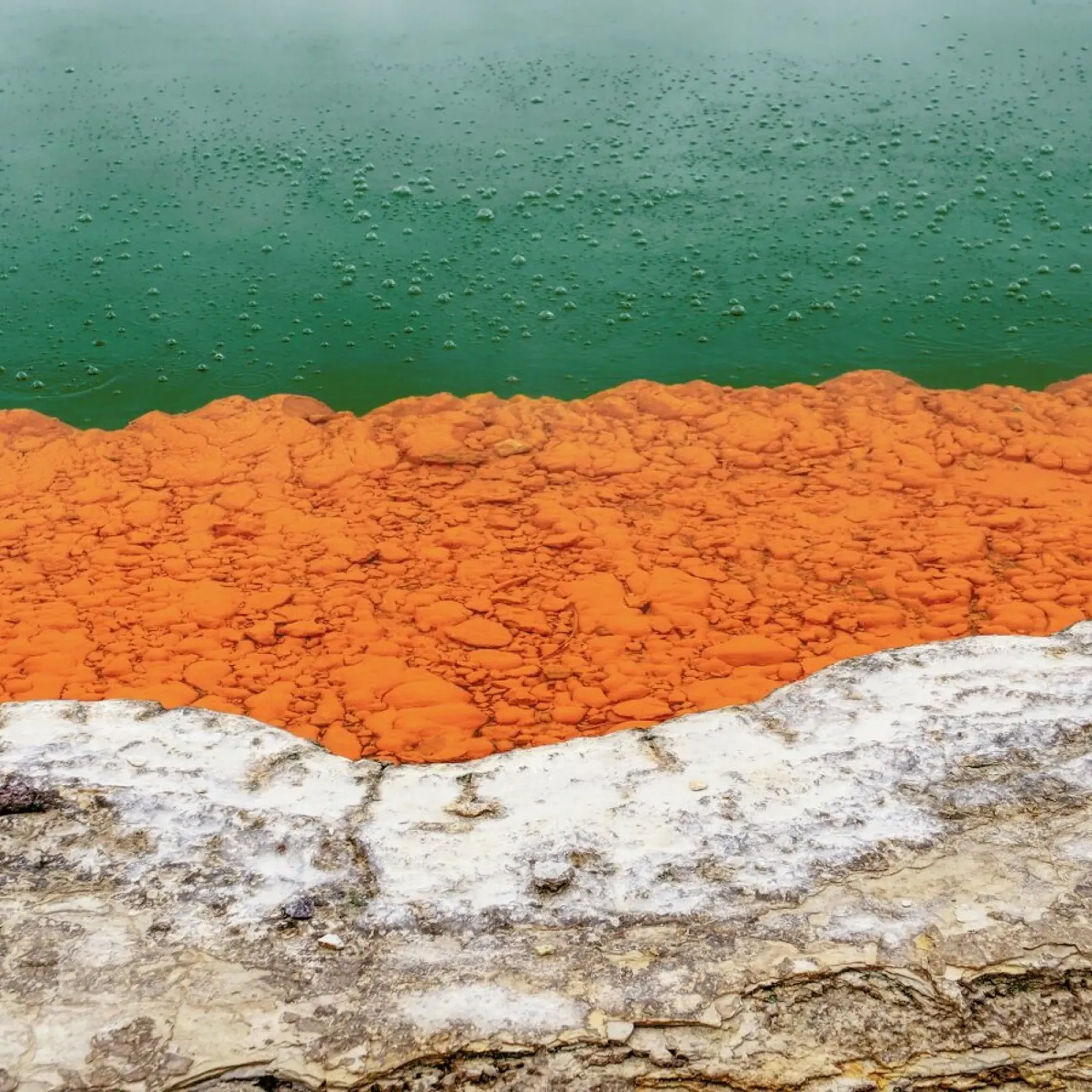 Champagne Pool Wai-O-Tapu poster con telaio in alluminio da Nur Mut