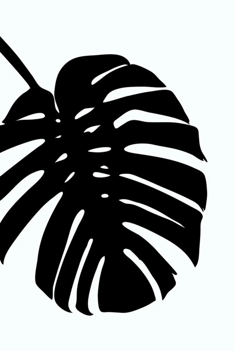 Monstera Leaf pellicola backlit da Oh Darling