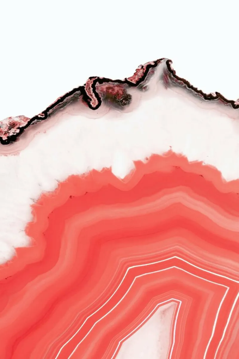 Living Coral Agate tela da cafelab