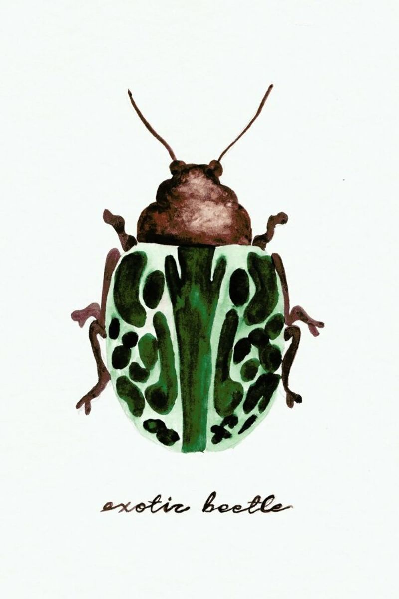 Exotic Beetle poster by Nathys_illustration