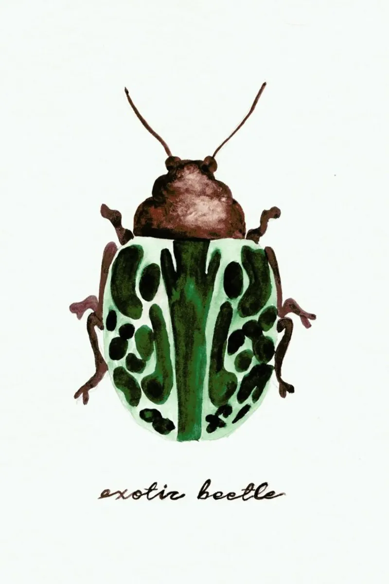 Exotic Beetle Hahnemühle von Nathys_illustration