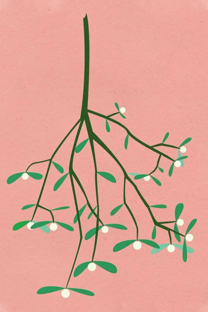 Mistletoe pellicola backlit da Rosi Feist