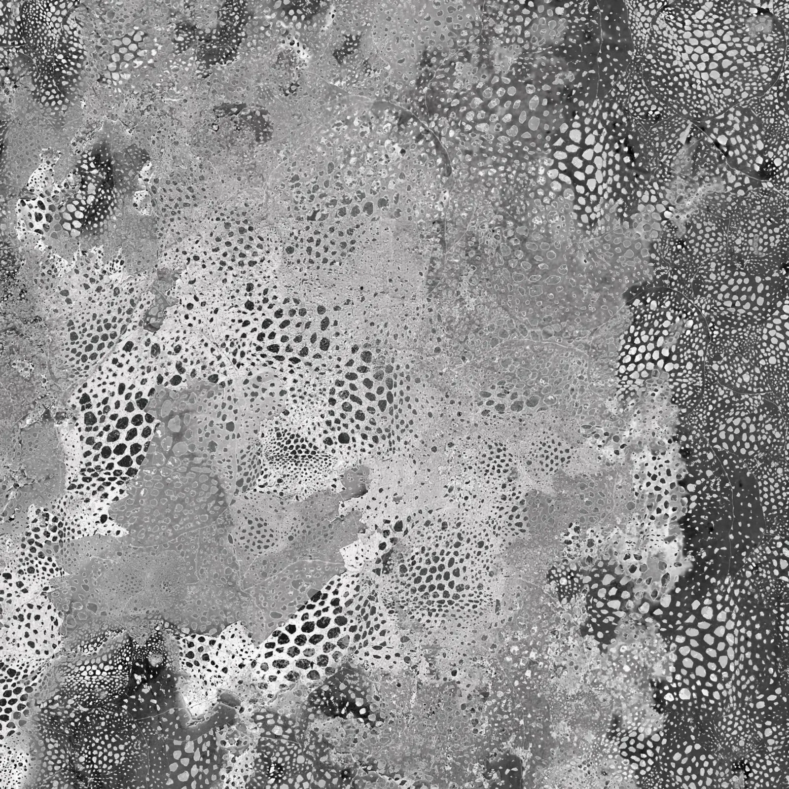 dissolvenza del grigio poster con telaio in plastica da Giulio Iurissevich