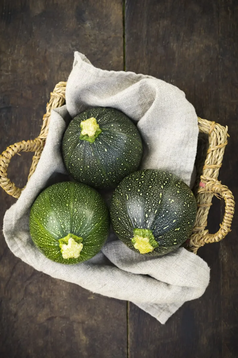 Round courgettes in a wicker basket canvas by foodphotolove