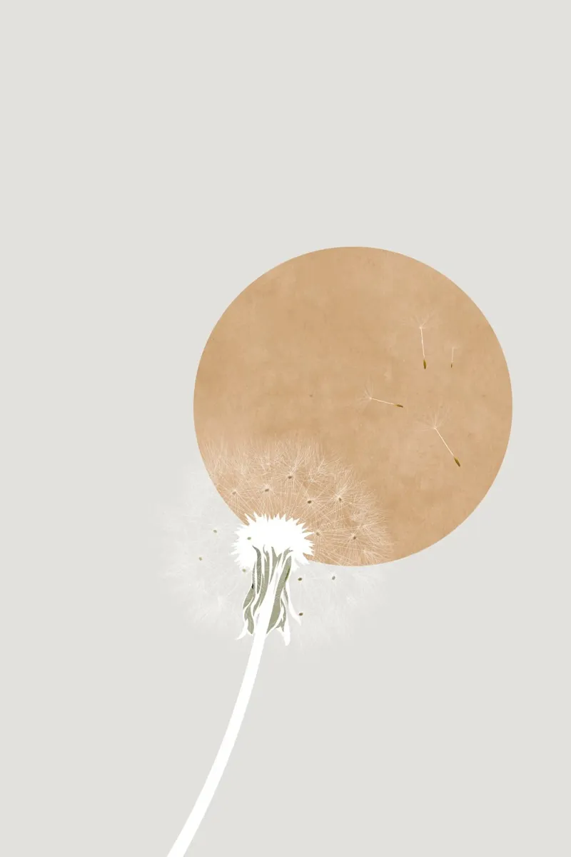 Paardenbloem in de zon canvas van studiopicaprints