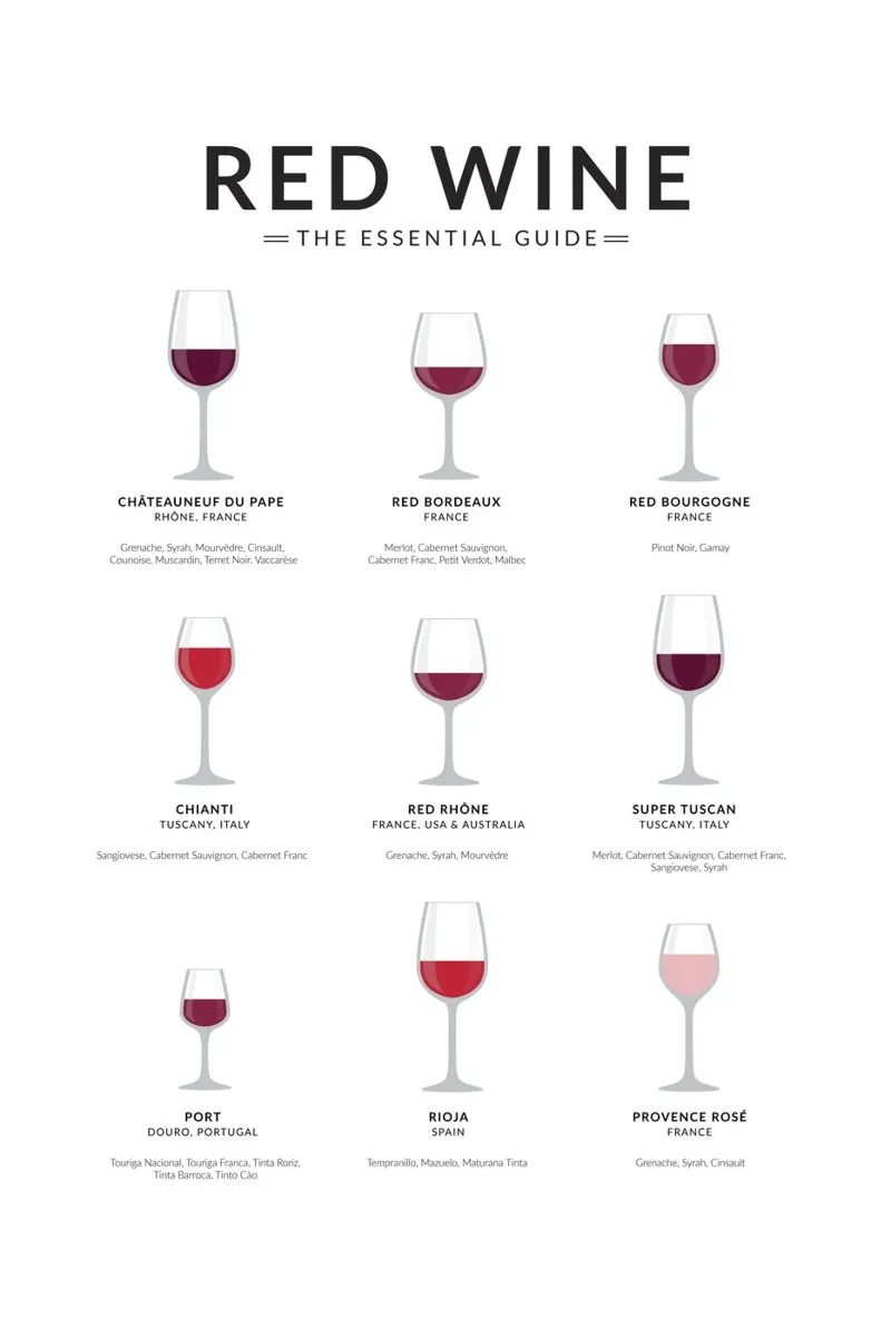 Guida ai vini rossi poster da studiopicaprints