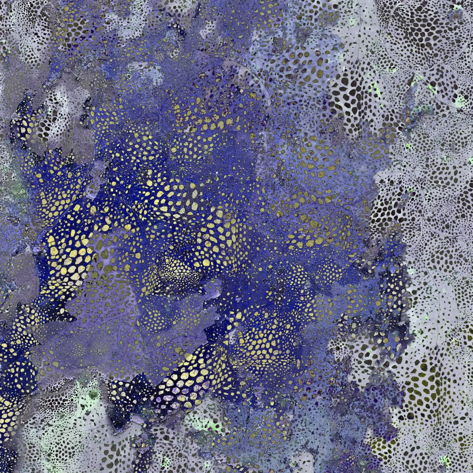 blu poster con telaio in plastica da Giulio Iurissevich
