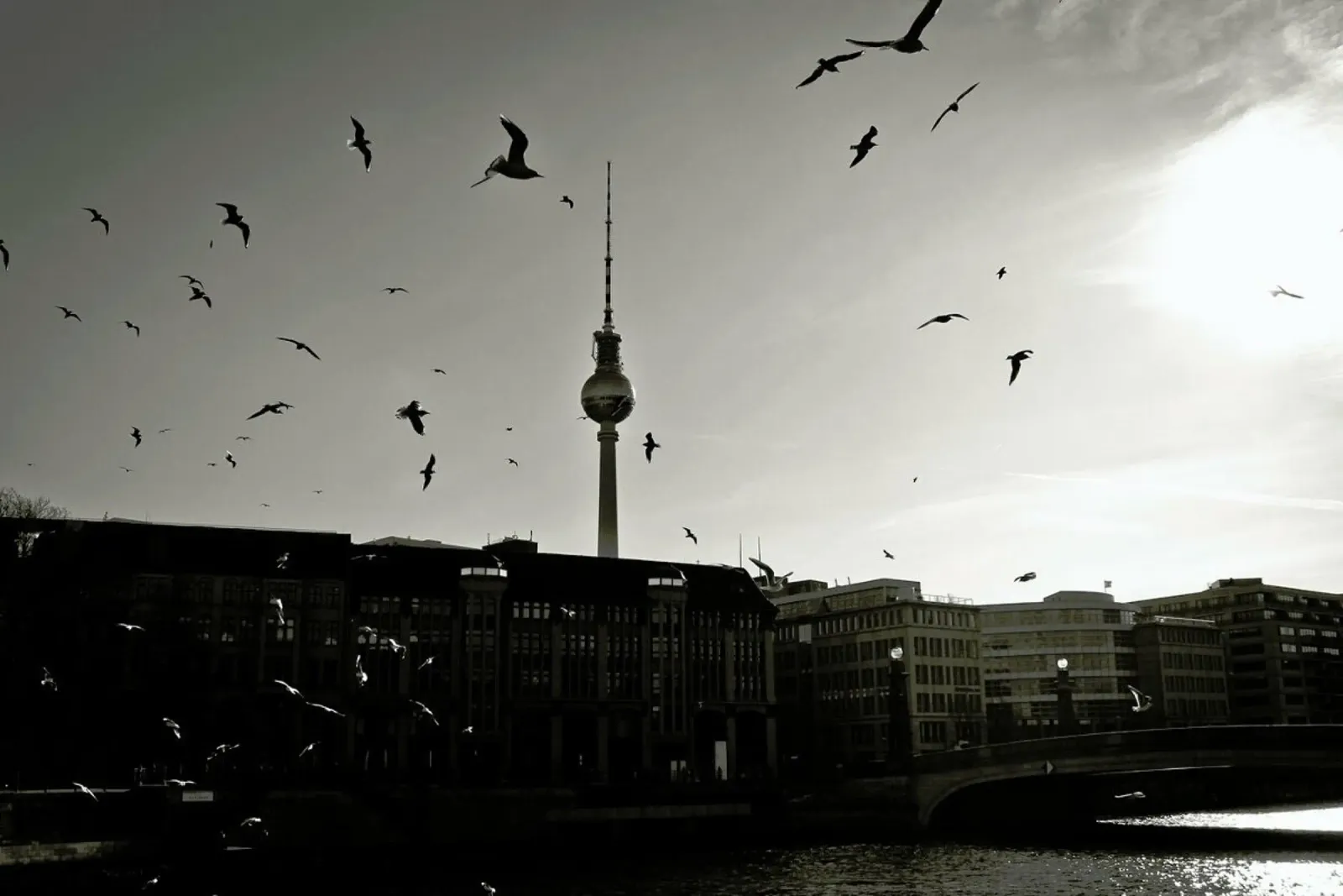 Fernsehturm pellicola backlit da Anja Hebrank Photography