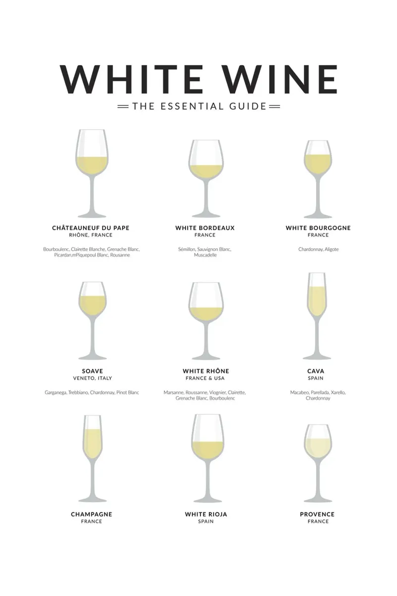 Guida ai vini bianchi poster da studiopicaprints