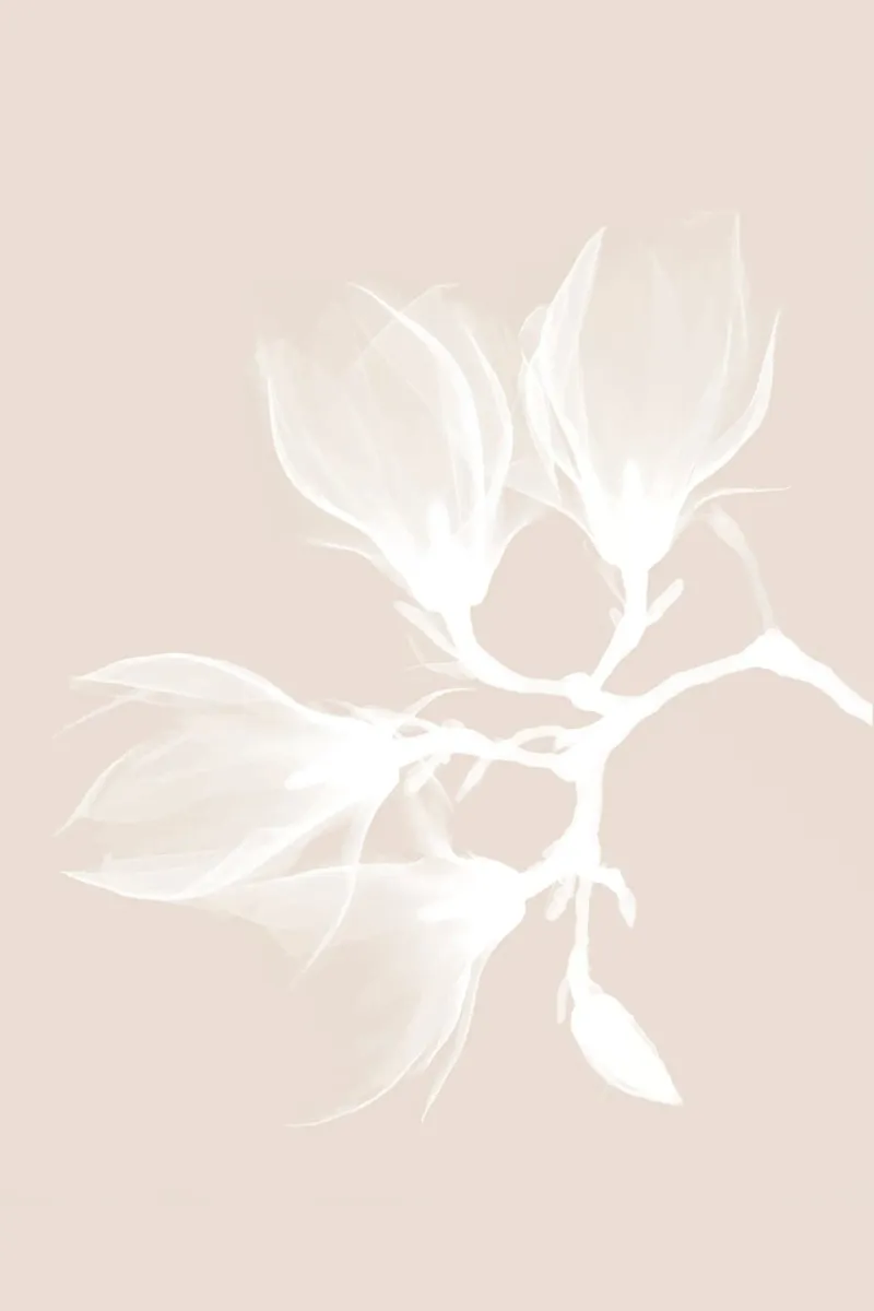 Magnolia poster poster with wooden frame by studiopicaprints