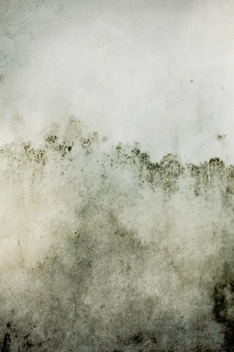 Washed Wall poster con telaio in legno da Chris Abatzis