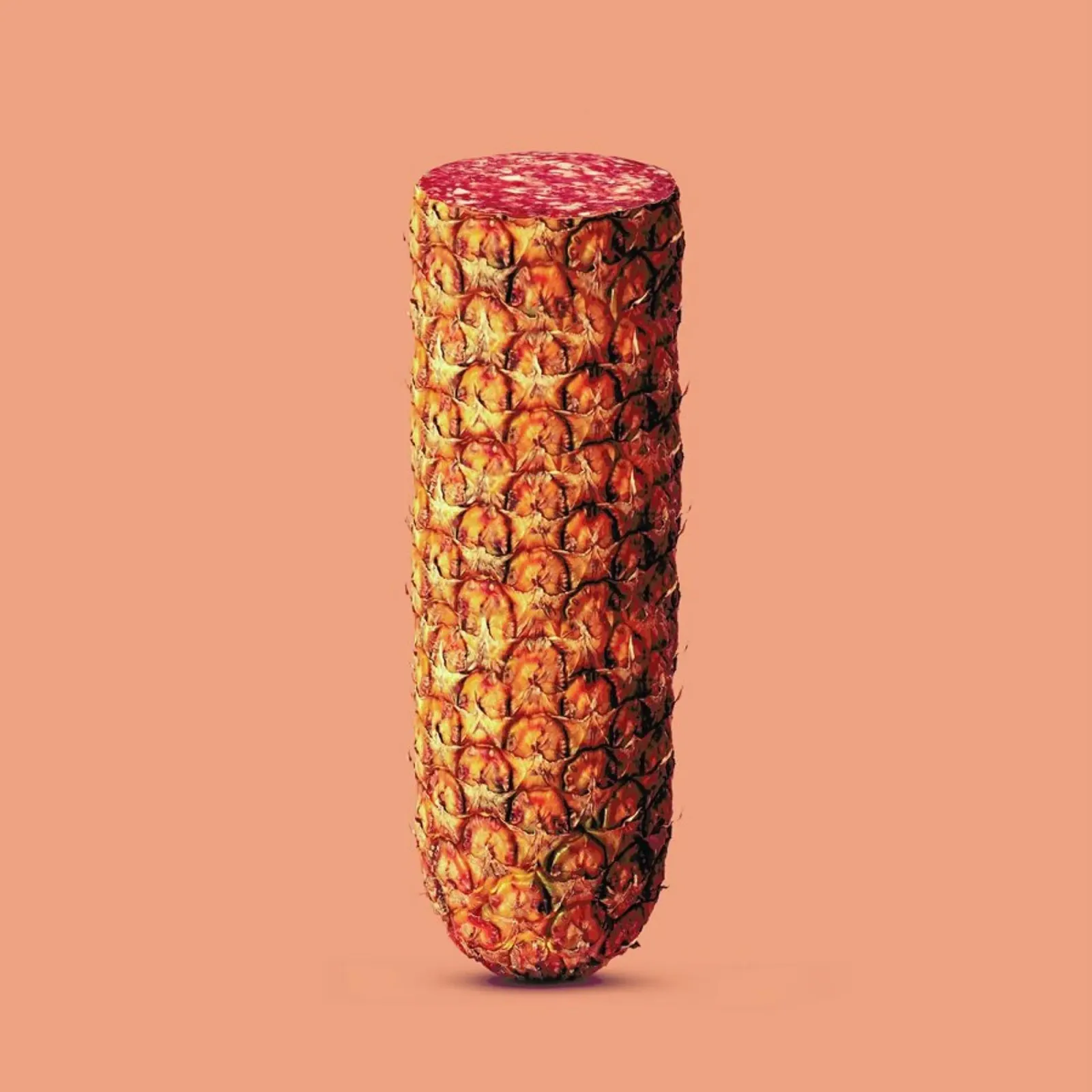 Pineapple Sausage poster con telaio in alluminio da suckertom