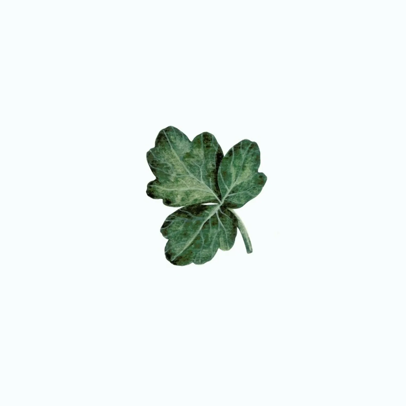 Shamrock poster con telaio in alluminio da Maria Vdovichenko
