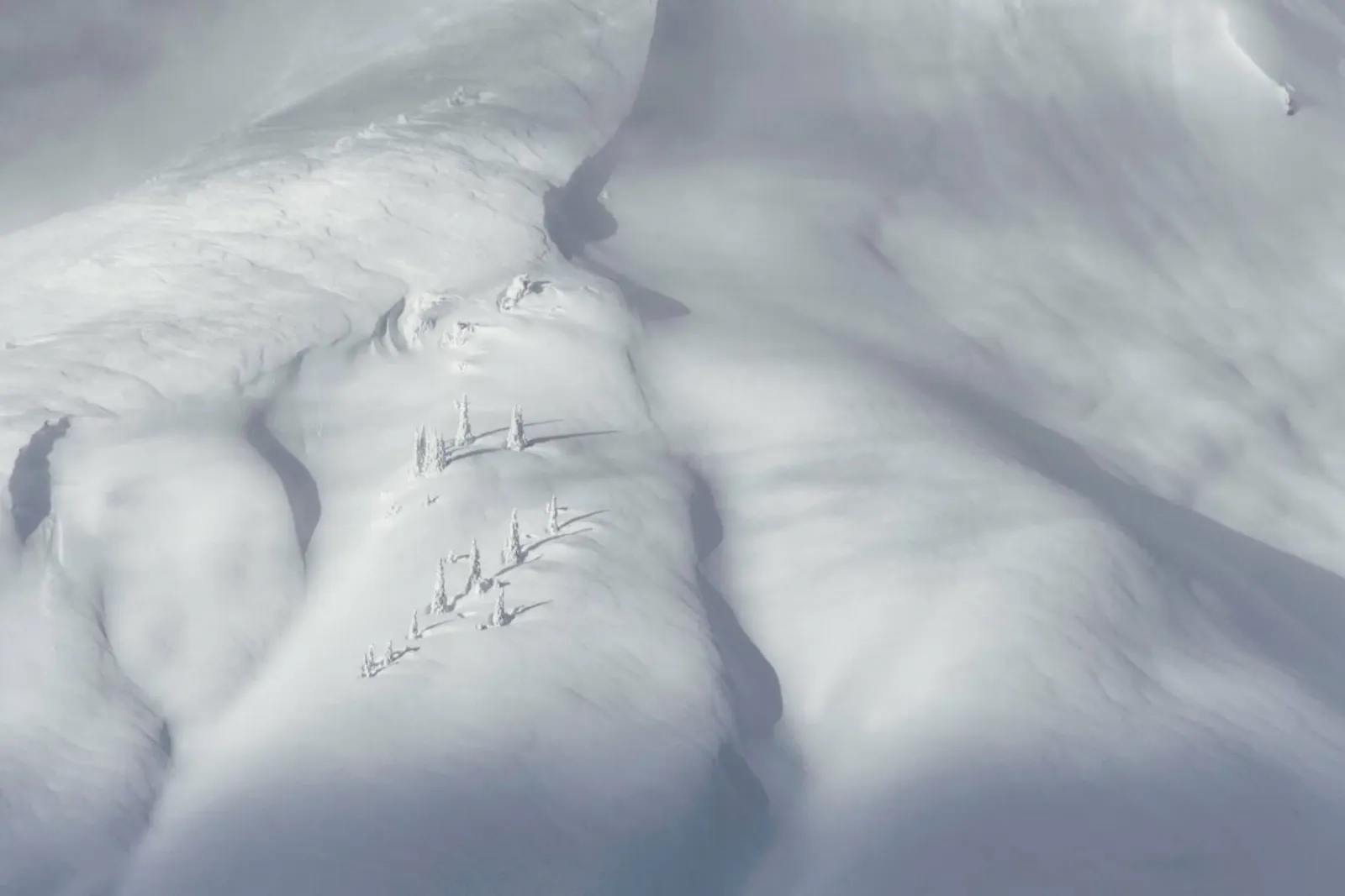 Planet Snow 3 pellicola backlit da Nur Mut