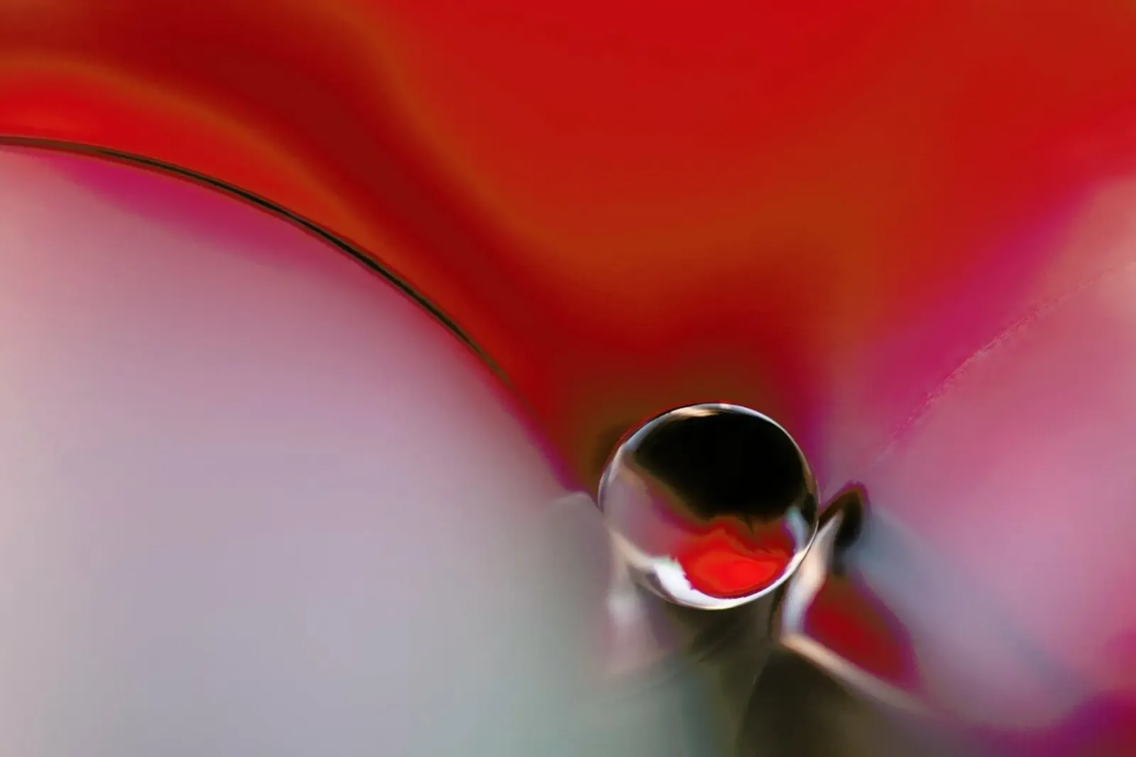 Between - Heidi Westum alluminio dibond da Pictufy