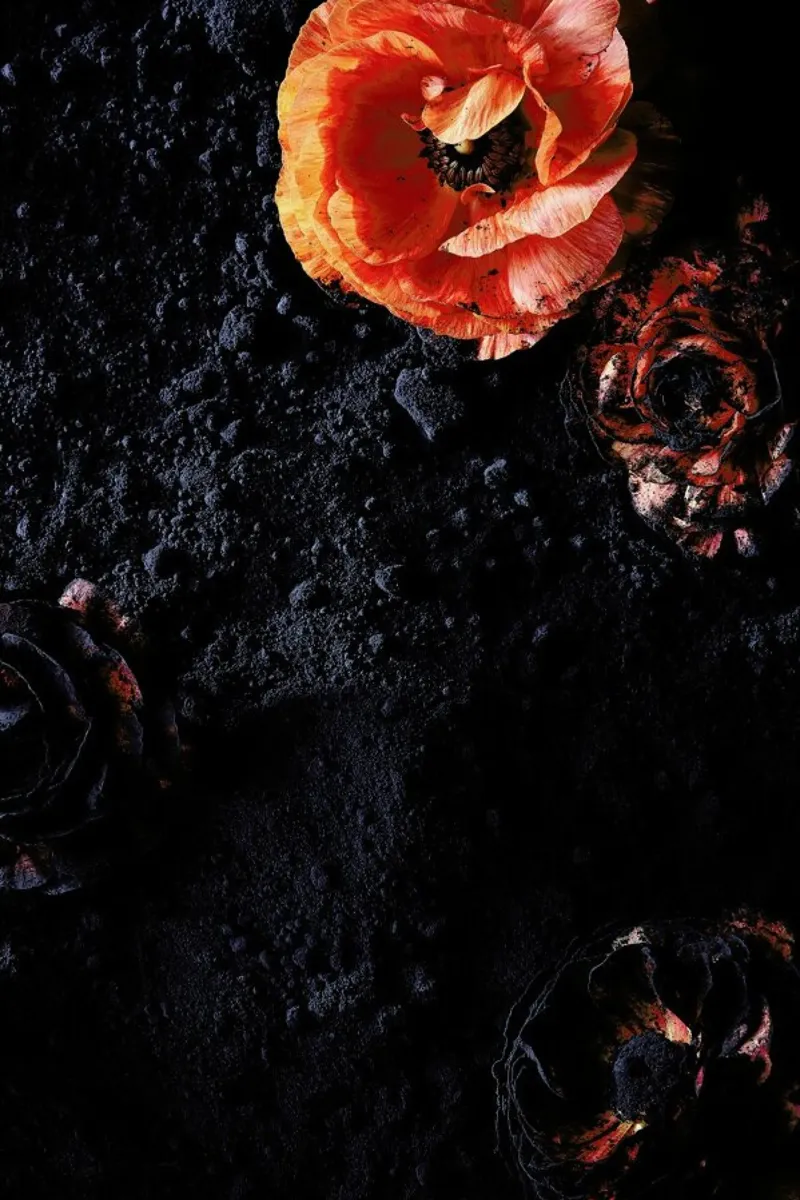 Flowers Four pellicola backlit da neon* fotografie