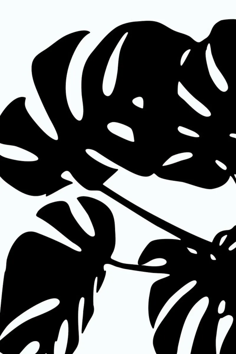 Monstera Leaf 1 pellicola backlit da Oh Darling