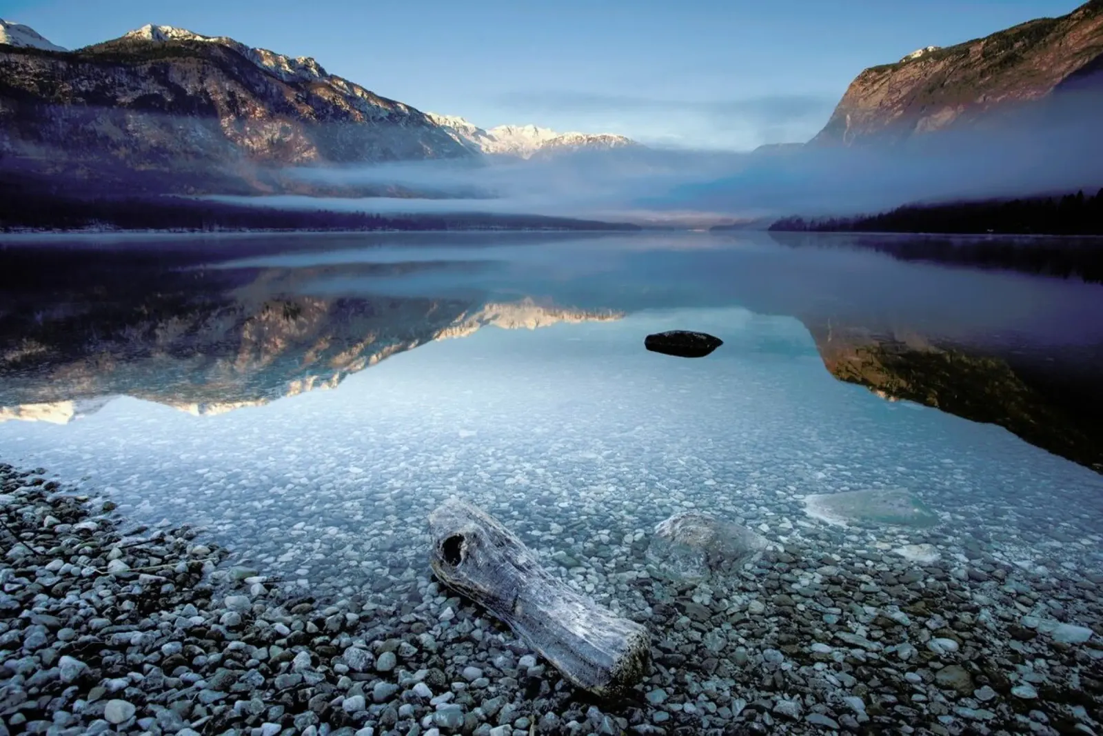 Bohinj's Tranquility - Bor poster da Pictufy