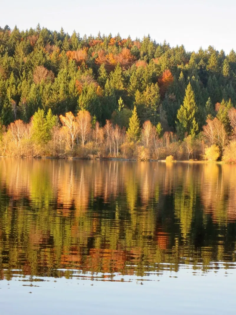 Il lago in autunno carta hahnemühle da Kreativernetzt