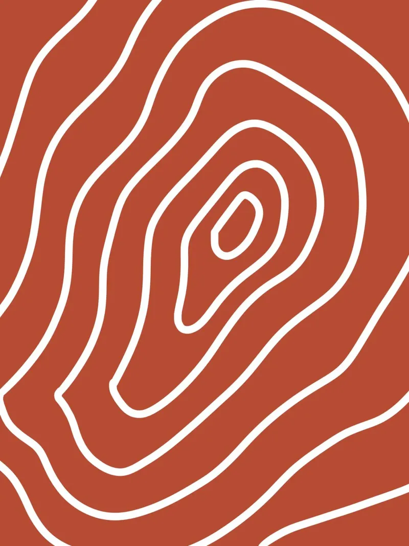 White Line Red Background canvas by MODERN NUANCE